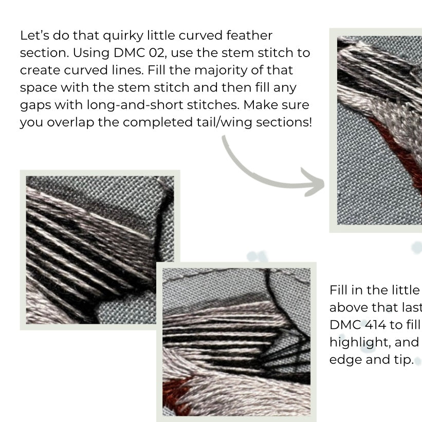 White-Breasted Nuthatch PDF Pattern