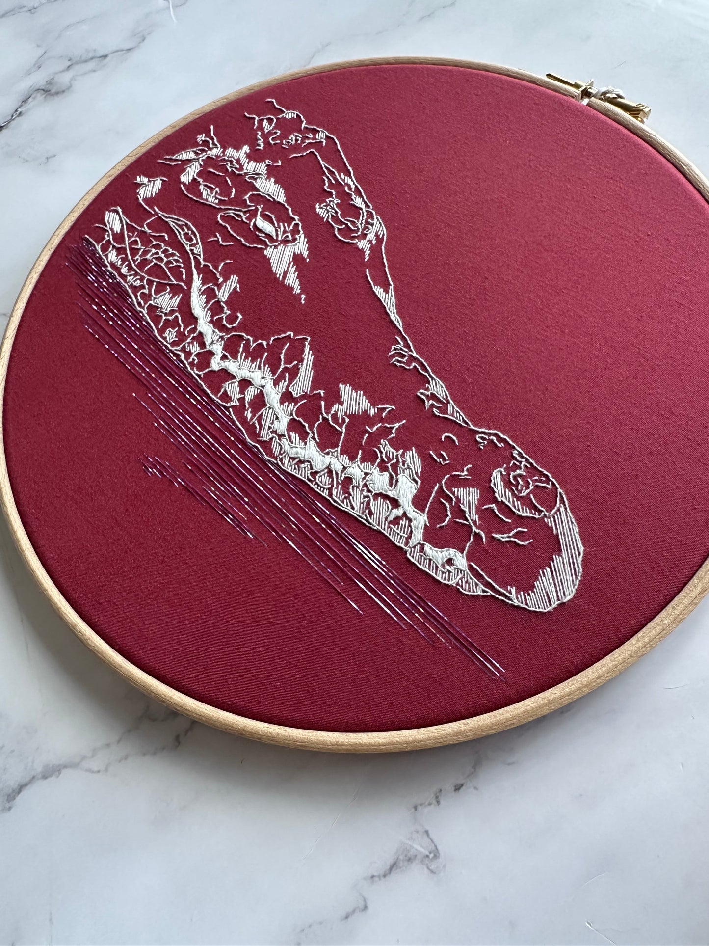 Orinoco Crocodile