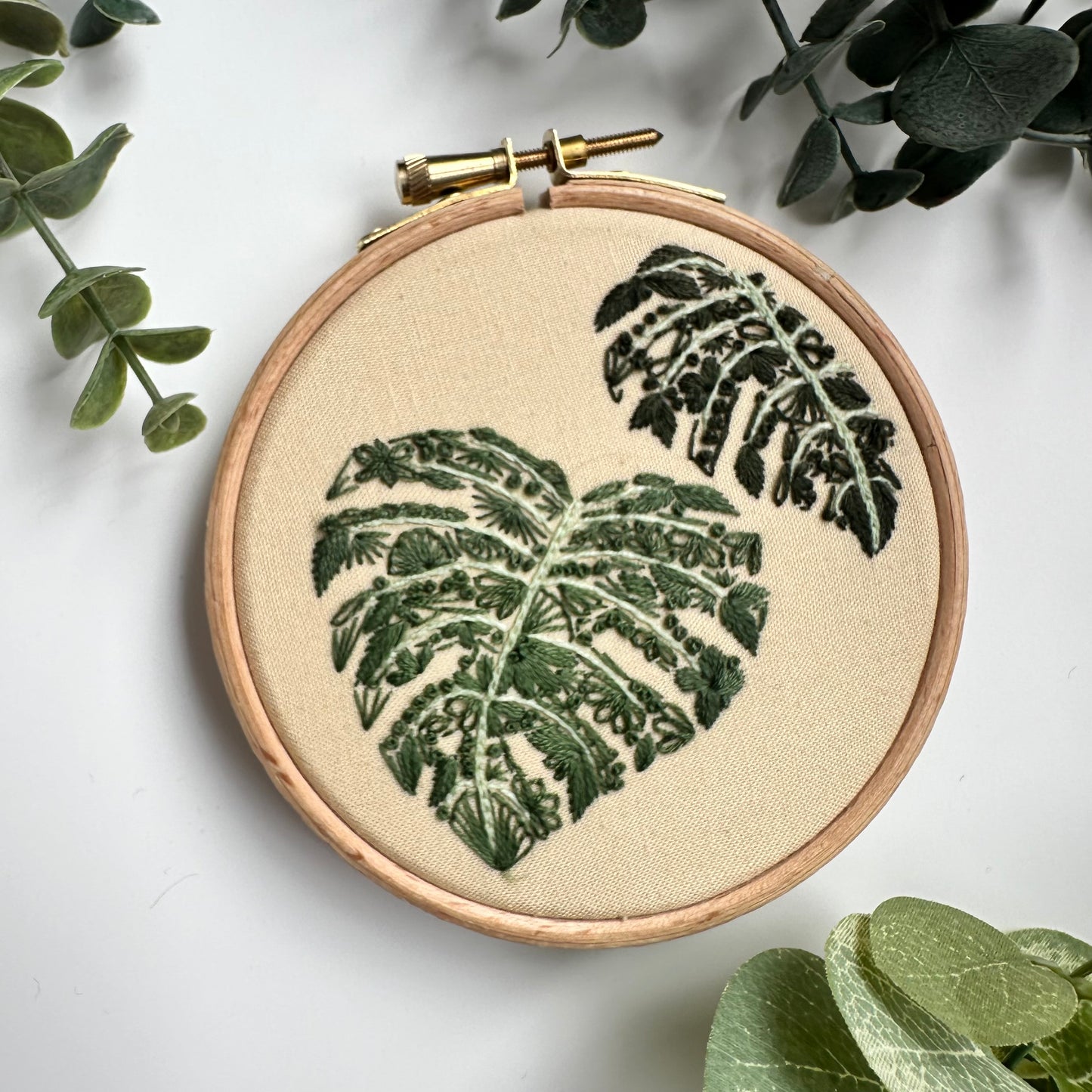 Mighty Monstera Mini Kit