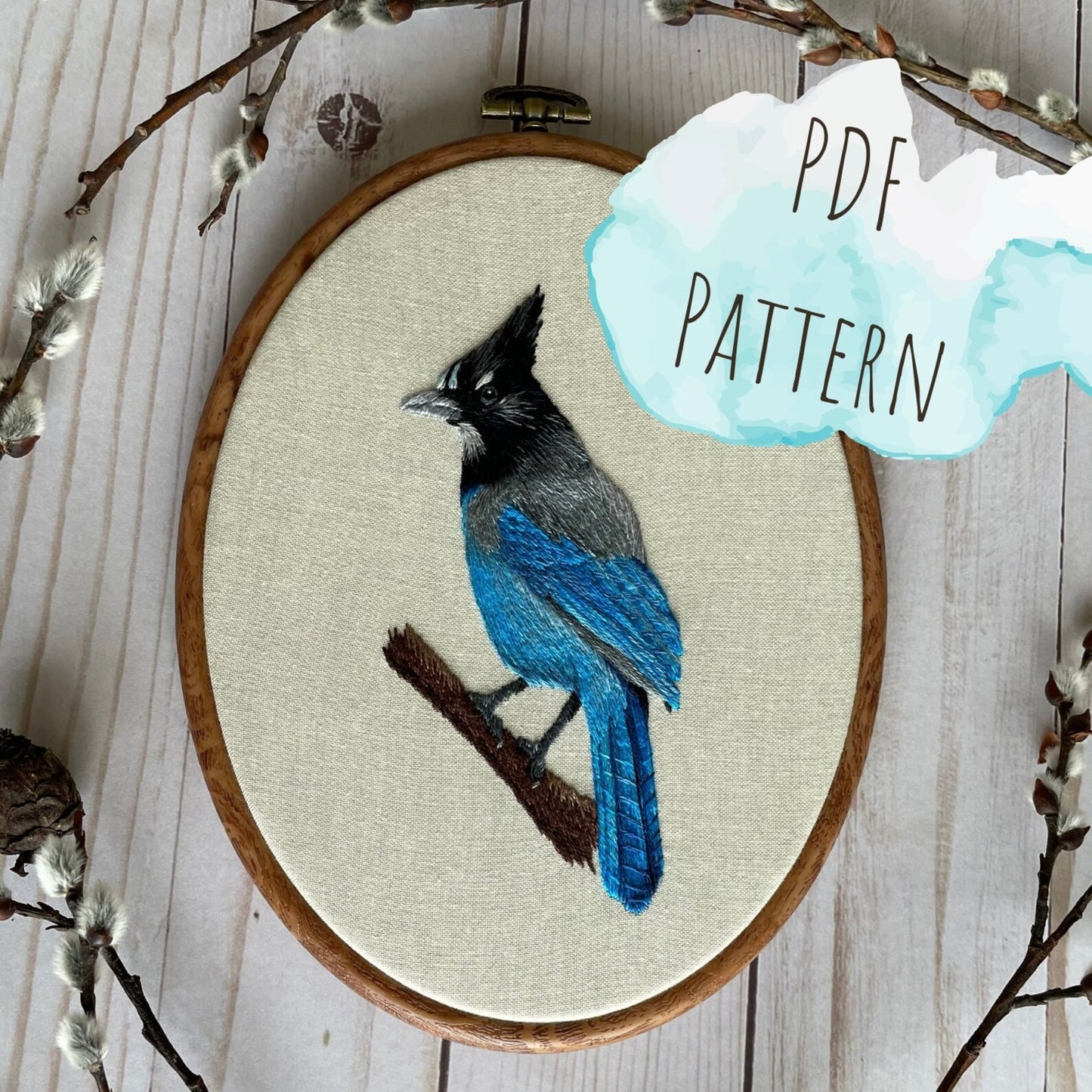 Stellar's Jay PDF Pattern