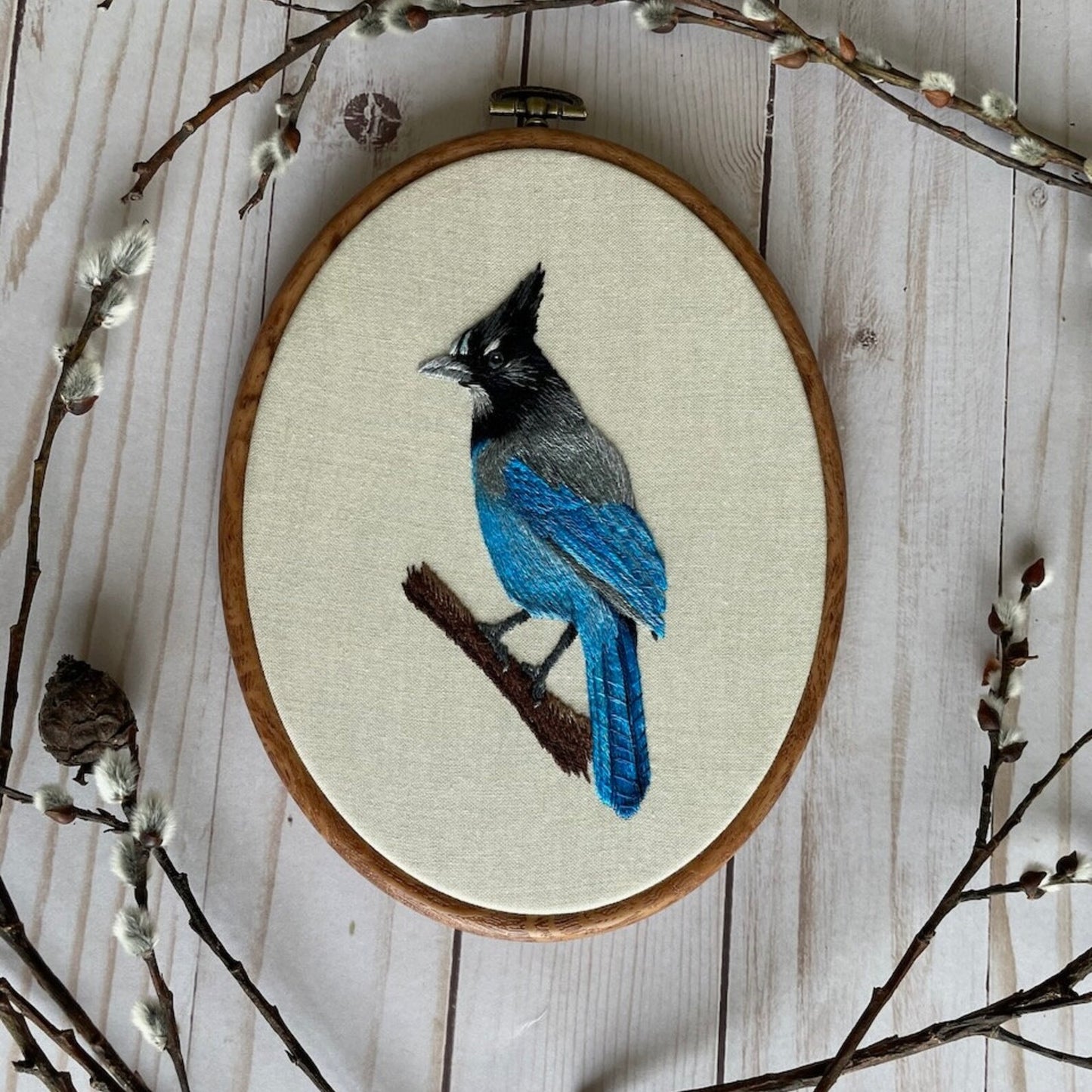 Stellar's Jay PDF Pattern