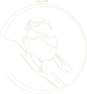 Nest Embirdery logo