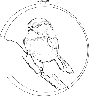 Nest Embirdery logo